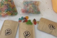 Toilet drug kitchen busted in Bangkok cannabis snack raid | Thaiger