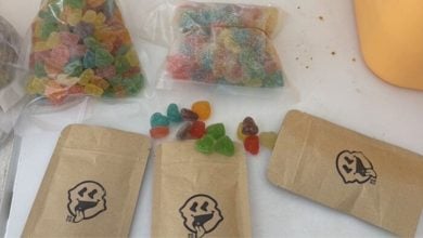 Toilet drug kitchen busted in Bangkok cannabis snack raid | Thaiger