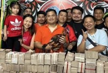 Cockfighting champ: Korat rooster sold for 6.5 million baht | Thaiger
