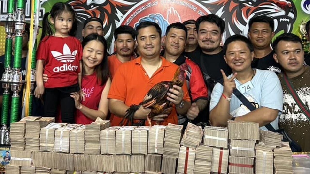 Cockfighting champ: Korat rooster sold for 6.5 million baht | Thaiger