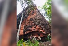 Ancient cave unearthed in northern Thailand jungle | Thaiger
