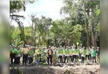 Bangkok’s ‘green lung’ boosted by Thai-Norwegian push | Thaiger