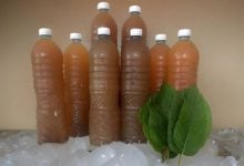 Thailand eyes kratom crackdown amid abuse fears | Thaiger