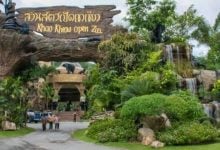 Khao Kheow Zoo probes late-night intruder drama | Thaiger