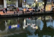 Chiang Mai goose squad flops in moat cleanup stunt | Thaiger