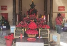 Hopefuls flock to central Thailand temple for lottery blessings | Thaiger
