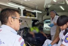 Buzzed and breathless: Bee sting sends biker to Pattaya ER | Thaiger