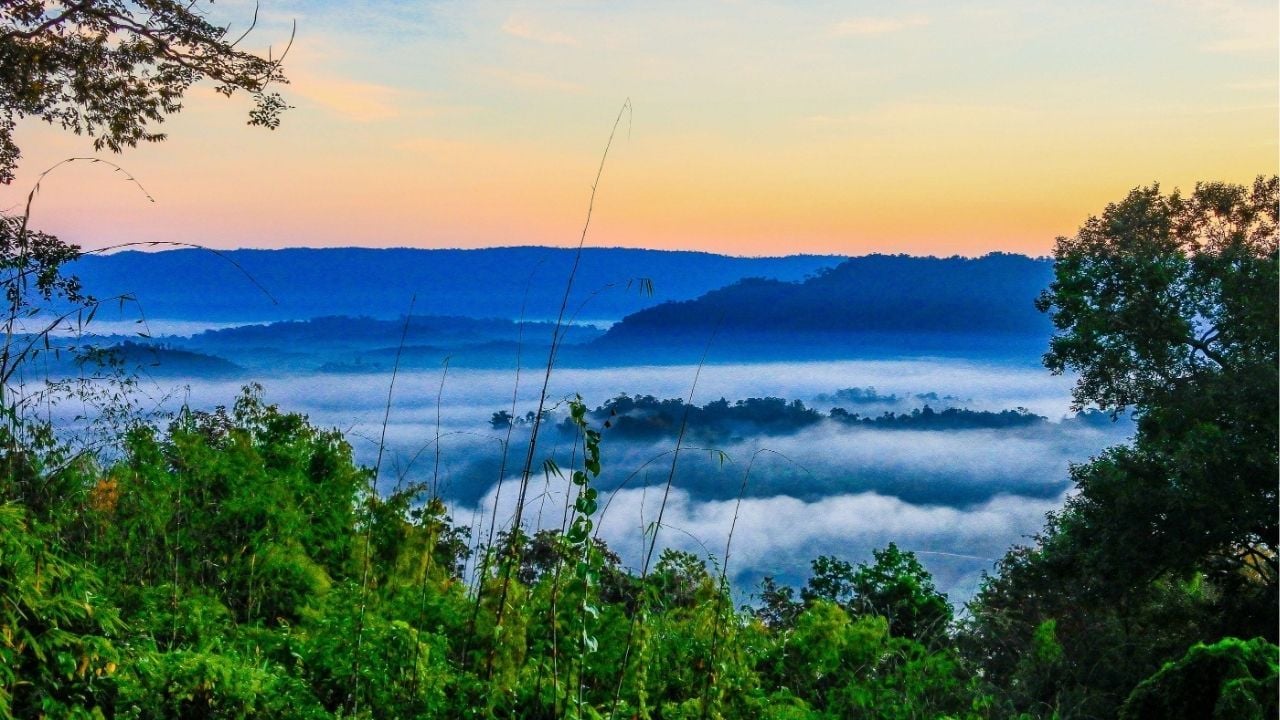 A look into Phu Huay Isaan | Photo taken by icon0.com from Canva