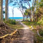 What you’ll discover on a travel hike in Australia’s rainforests | Thaiger
