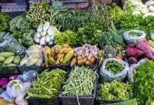 MPs question 41 million baht budget for Phayao agricultural market | Thaiger