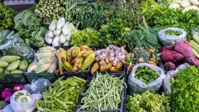 MPs question 41 million baht budget for Phayao agricultural market | Thaiger