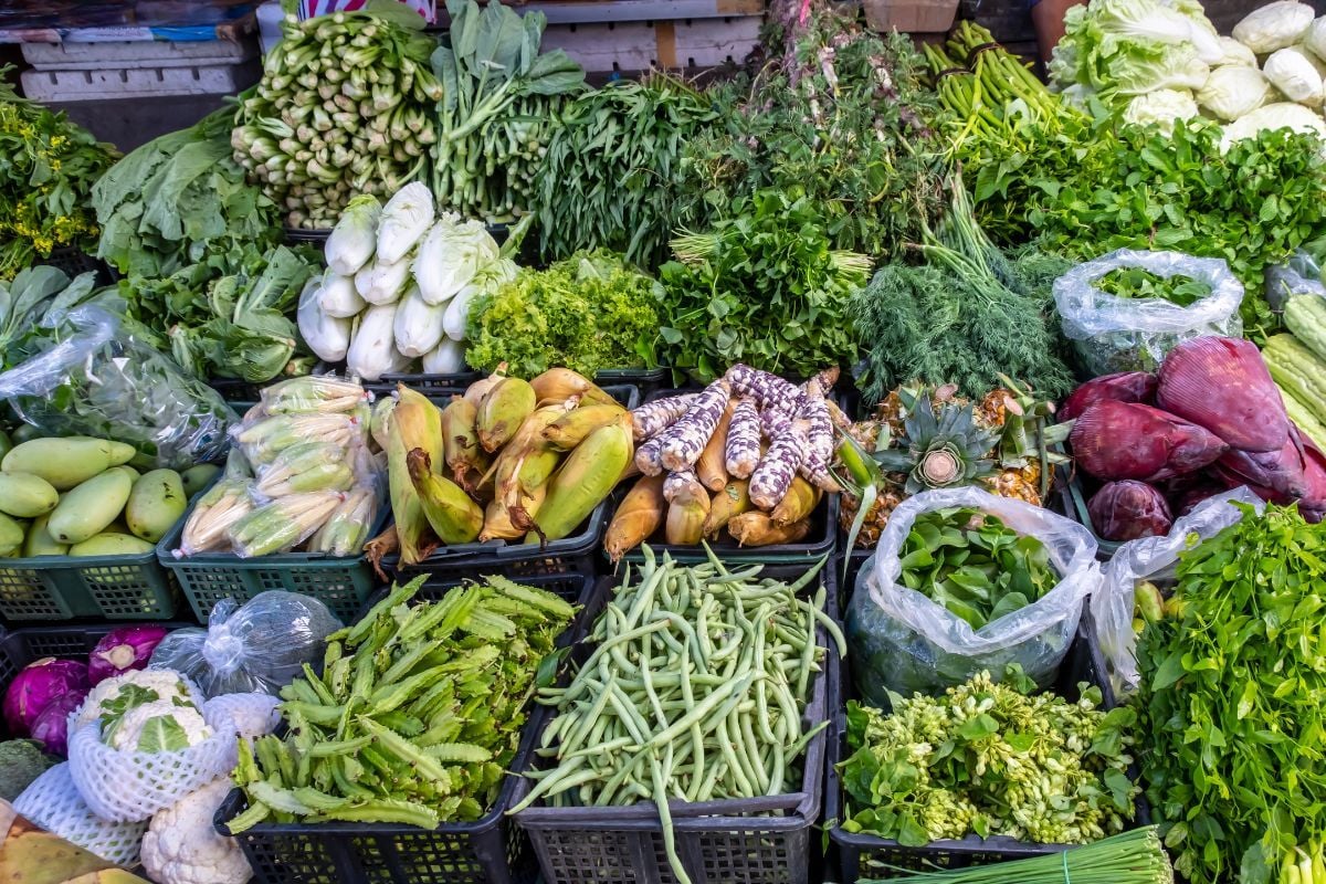 MPs question 41 million baht budget for Phayao agricultural market | Thaiger