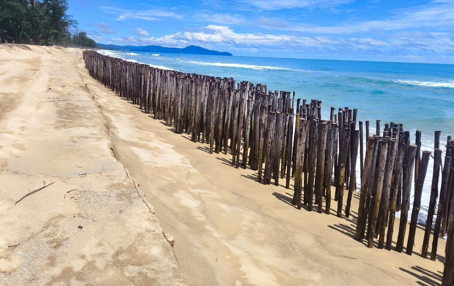 Phuket sand fence project launched to combat coastal erosion | News by Thaiger