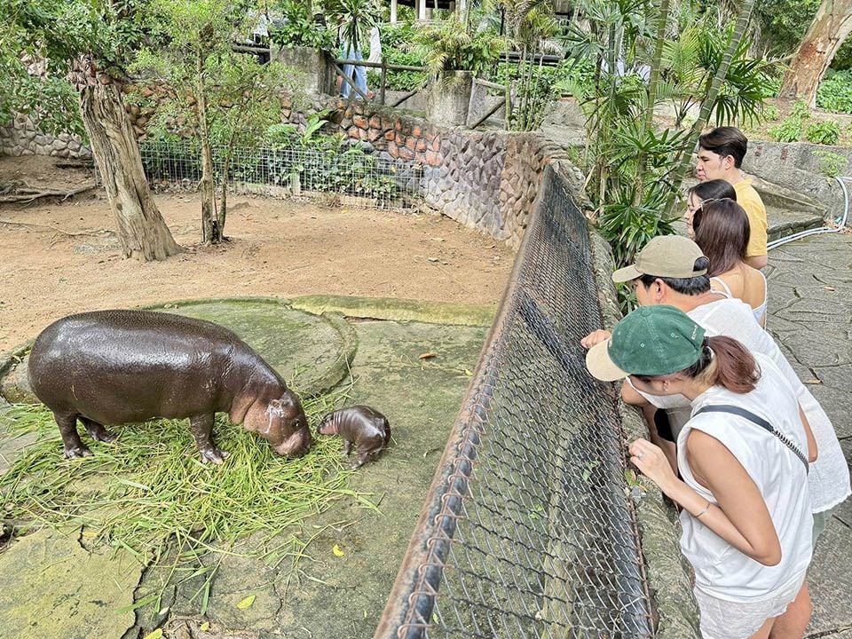Khao Kheow Zoo probes late-night intruder drama | News by Thaiger