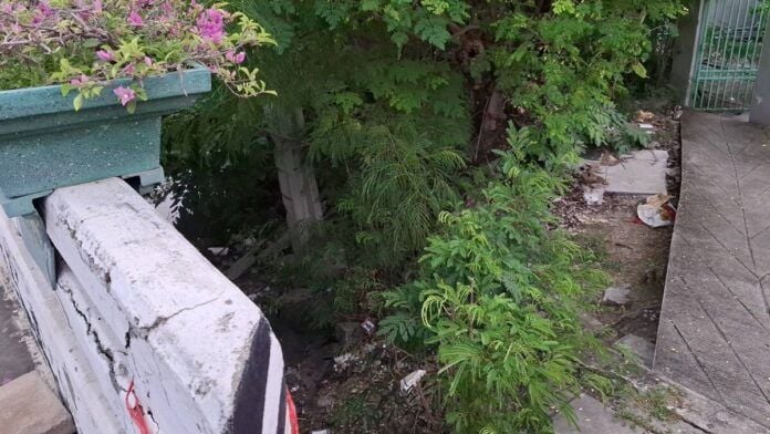 Bangkok man found cut in half under bridge, organs missing | News by Thaiger