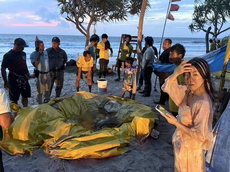 Hooked turtle rescued in Phuket as another dies from net injury | News by Thaiger
