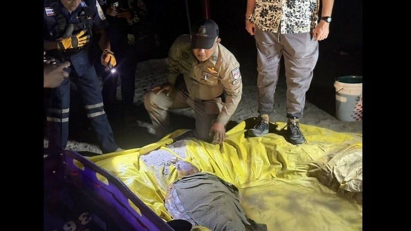 Hooked turtle rescued in Phuket as another dies from net injury | News by Thaiger