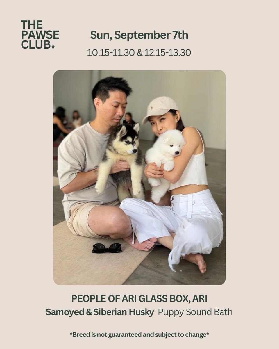Soundbath with Puppies at People of Ari Glass Box Bangkok