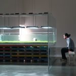 What to do in Bangkok this weekend (September 12 to 14) | Thaiger