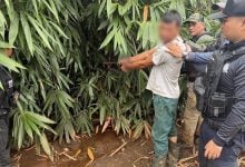 Myanmar national arrested for father-in-law’s murder in Chiang Mai | Thaiger
