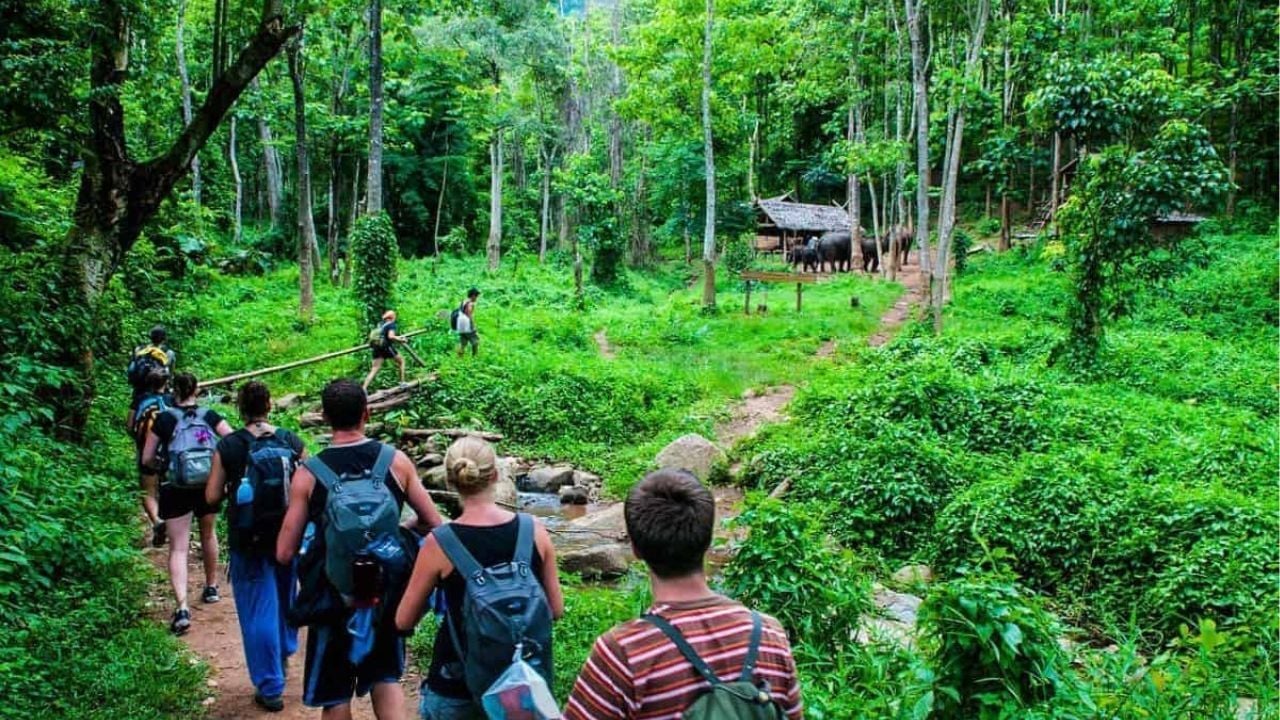 Backpackers trekking in the forests of Chiang Mai | Photo taken from The South East Asia Backpacker website