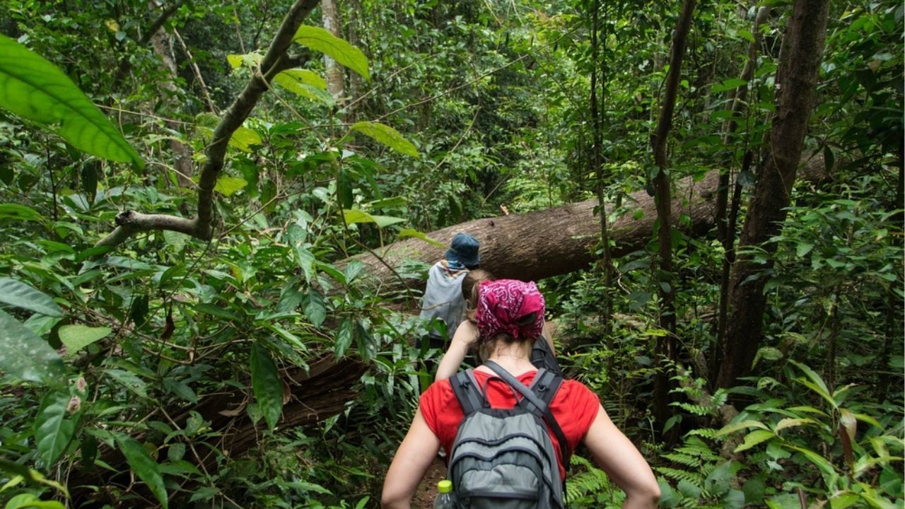 Backpackers trekking through Khao Yai National Park | Photo taken from the Goats On The Road website