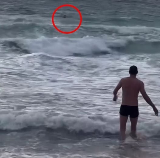 Tourist rescued after ignoring red flags at Karon Beach | News by Thaiger