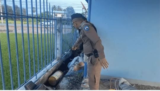 Baby girl killed after family pit bull turns violent in Uthai Thani | News by Thaiger
