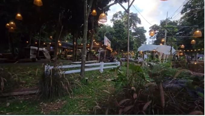 Hungry elephant raids Korat BBQ shop in midnight rampage | News by Thaiger