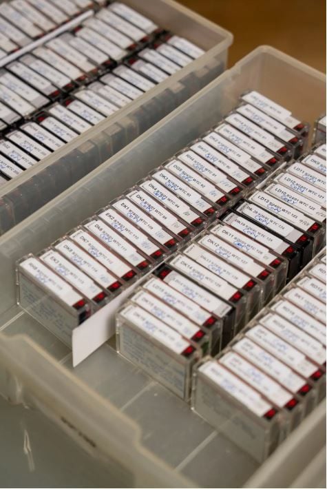 24 years on: Unseen 9/11 video archive unveiled in New York (video) | News by Thaiger