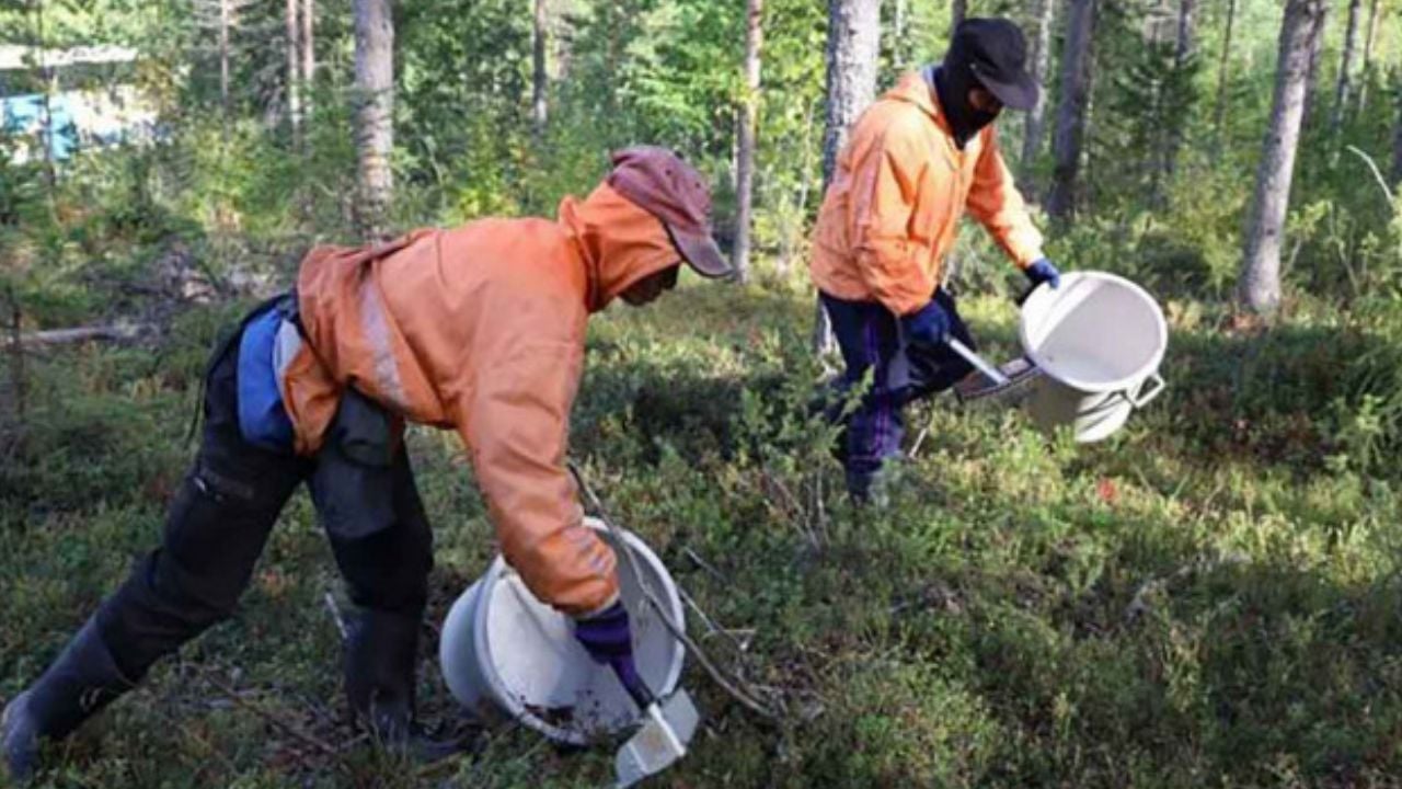 Finnish berry CEO jailed for human trafficking Thai workers | Thaiger