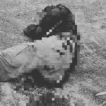 Thai man attacked, seriously injured by wild bull in plantation | Thaiger