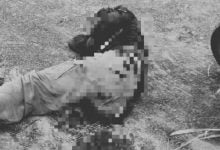 Thai man attacked, seriously injured by wild bull in plantation | Thaiger