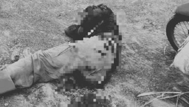 Thai man attacked, seriously injured by wild bull in plantation | Thaiger