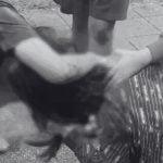 15 year old Thai girl stabbed for viewing rival&#8217;s TikTok profile | Thaiger