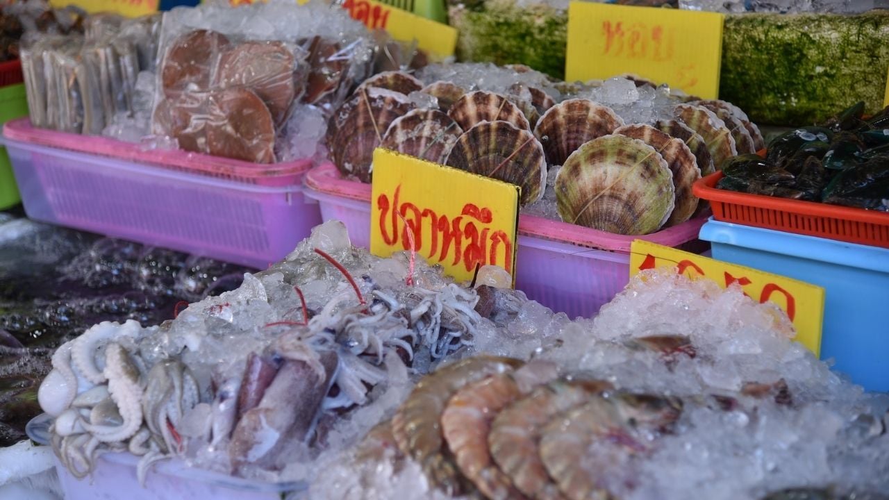 foodies destination Airbnb