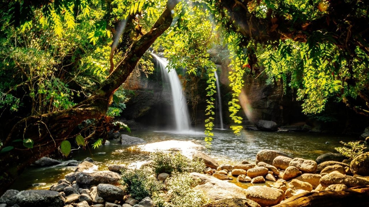Khao Yai National Park best destination in Asia by Agoda