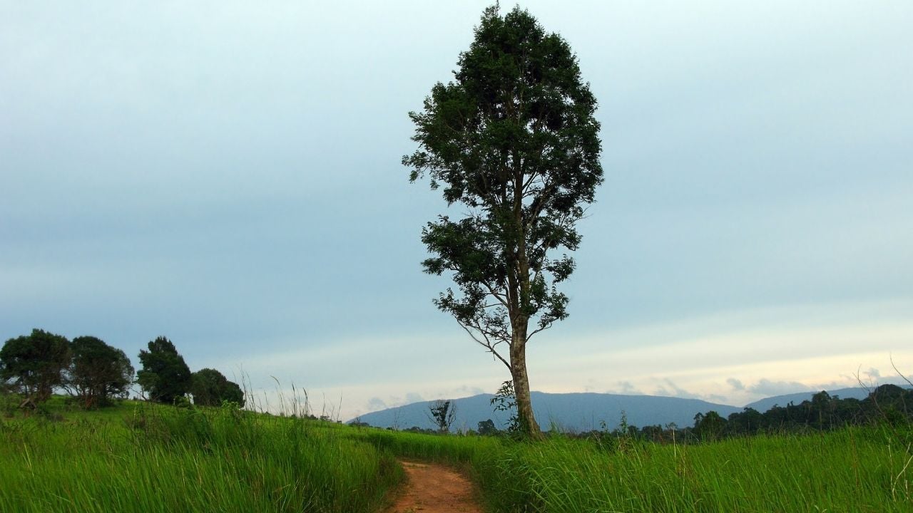 Agoda lists Khao Yai in best rural destination in Asia