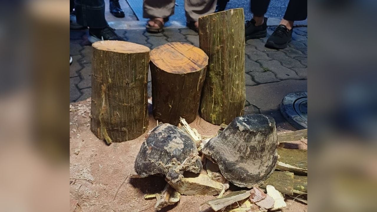Vietnamese arrested with rhino horns
