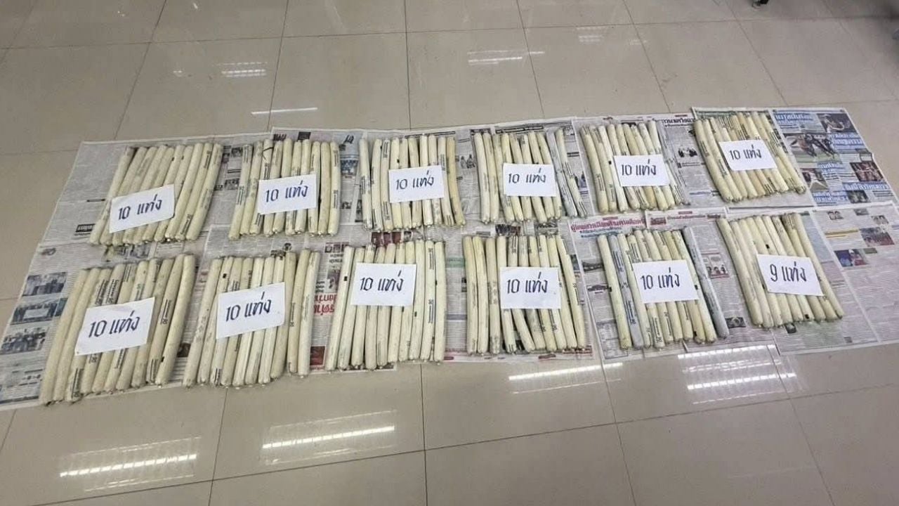 bombs abandoned in van parked in Chiang Rai near border
