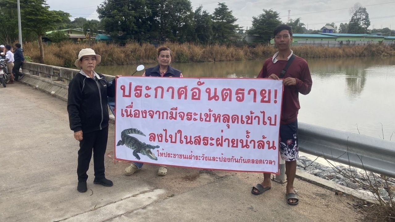 Crocodiles spotted after floods in Rayong