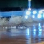 2-metre crocodile spotted on road amid Rayong flood crisis | Thaiger