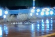 2-metre crocodile spotted on road amid Rayong flood crisis | Thaiger