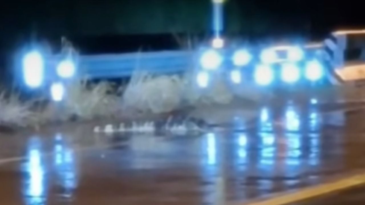 2-metre crocodile spotted on road amid Rayong flood crisis | Thaiger