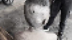 Thai mother violently punishes 13 year old son for raping younger half-sister | Thaiger