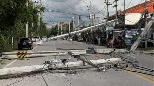 Chiang Mai pickup crash topples 24 power poles and kills 1 victim | Thaiger
