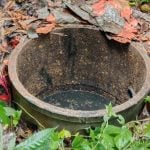 Thai man murders older brother and hides body in septic tank | Thaiger