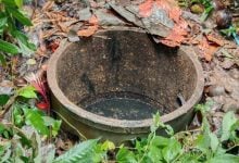 Thai man murders older brother and hides body in septic tank | Thaiger
