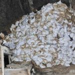 50,000 sandbags deployed to plug sinkhole on Bangkok road | Thaiger