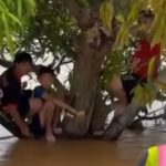 Brave Thai boy swims through flood to save stranded friends | Thaiger